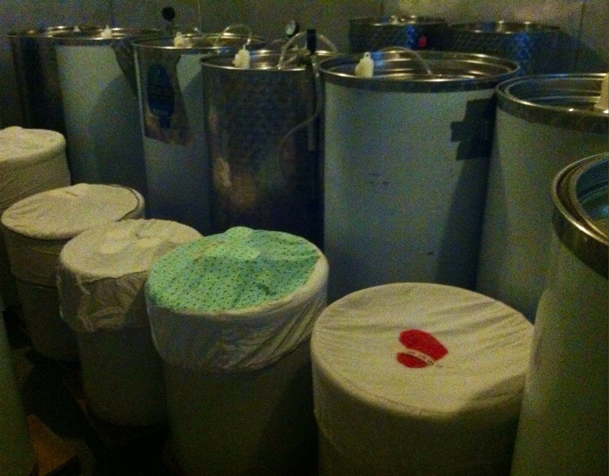 The Stages of Sauerkraut Fermentation OlyKraut