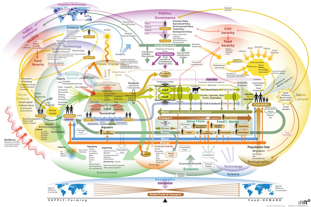 food system diagram