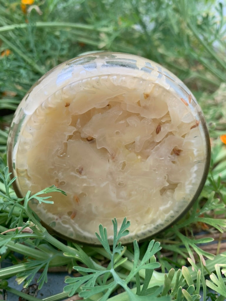 Olykraut's Caraway Sauerkraut