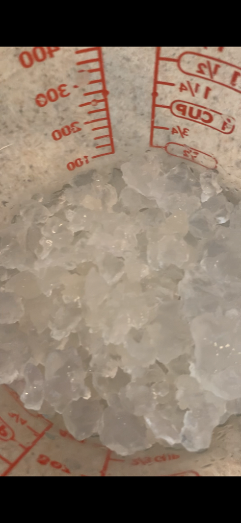 A close up of water kefir grains in a measuring cup - they are clear little lumps that sort of look like glue