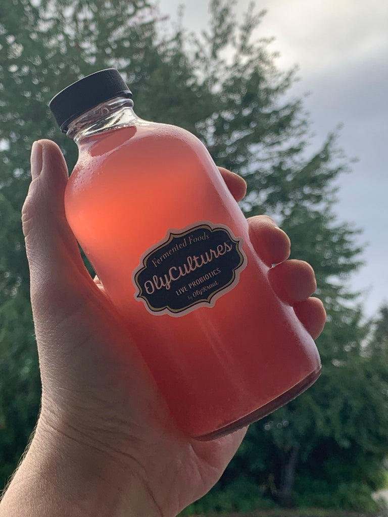 A hand holding a bottle of water kefir in front of a tree. This flavor is cranberry holy basil and is pink. 